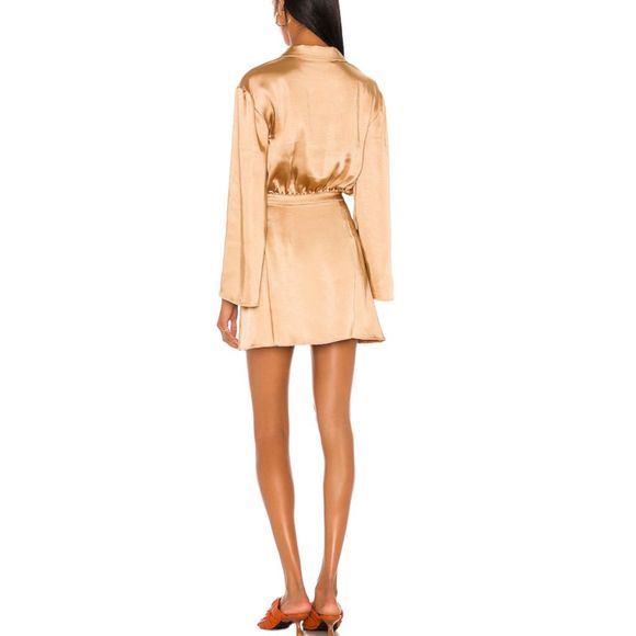 L'Academie Sashie Dress in Brown L