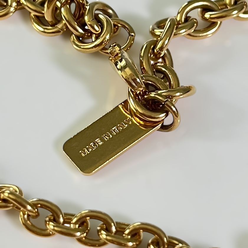Chloe Shells Belt in Vintage Gold