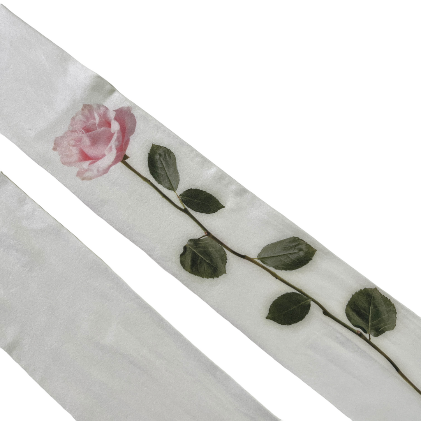 JACQUEMUS Les Collants Rosa in Rose White
